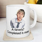 Funny mug - inbetweeners a levels completed it mate mug - funny inbetweeners jay cartwright gift coffee mug drinkware washable reusable tumb
